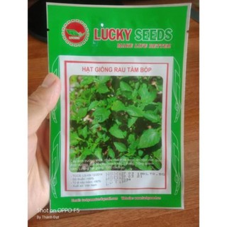 Hạt giống rau tầm bóp 0.5gr TPV
