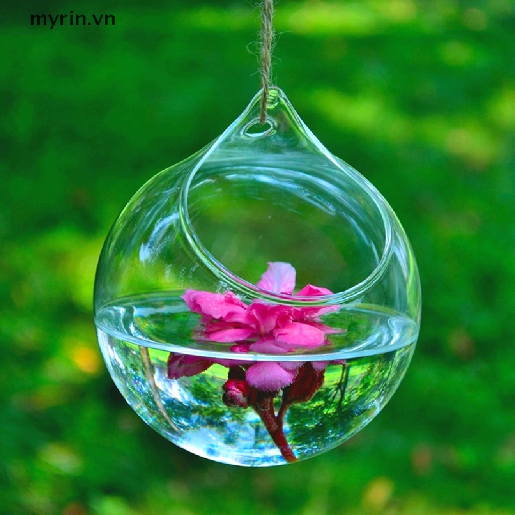 Bình Hoa Dạng Quả Bóng Treo Bằng Thủy Tinh Dùng Trang Trí Hồ Cá