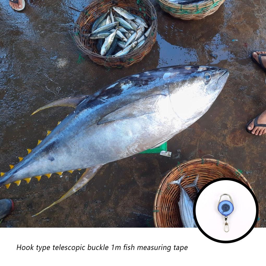 Thước Dây Câu Cá Chống Thấm Nước Linh Hoạt Tiện Dụng