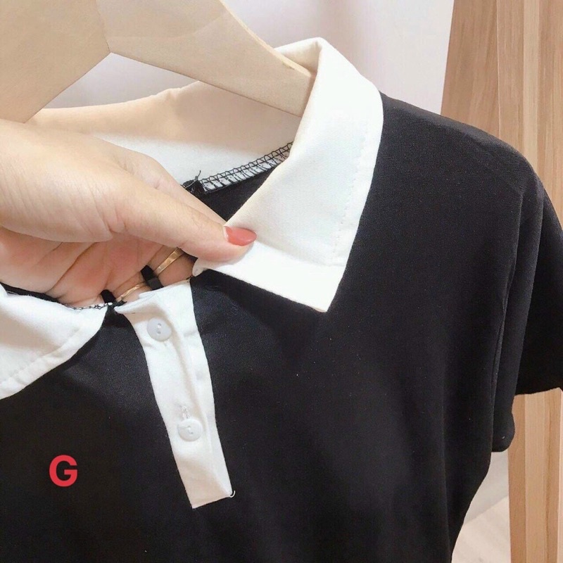 ĐẦM MIDI THUN ĐEN CỔ POLO TRẮNG SIÊU HOT ❤️❤️❤️❤️Mk alohashop91