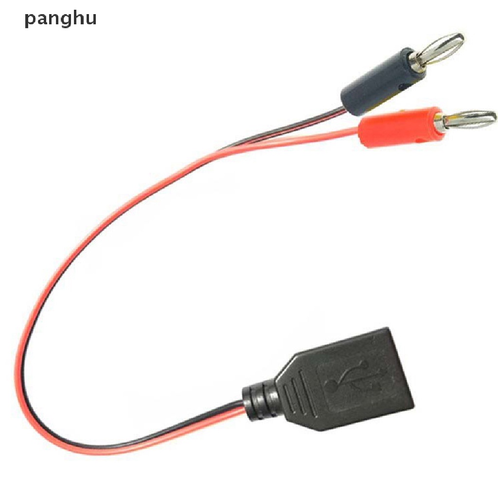 Ổ Cắm Điện Chuyển Đổi Đầu Cắm USB Sang Ổ Cắm Chuối 4MM Chuyên Dụng