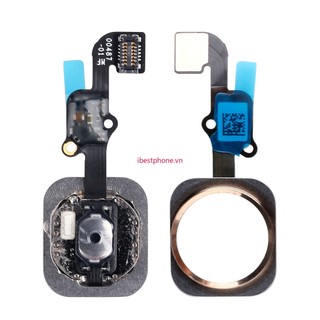 Cáp flex nút home cho iphone 6s 6s plus