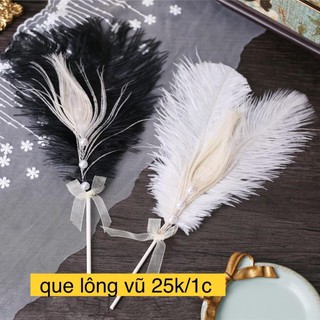 [Rẻ vô địch] Lông vũ chụp ảnh, tráng trí