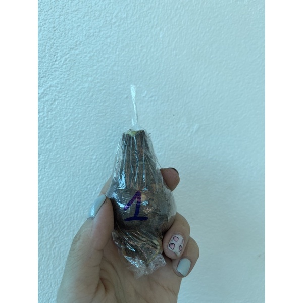 🍀HÀNG ĐẸP🍀Củ hoa cầu tuyết hoa chuẩn Tết