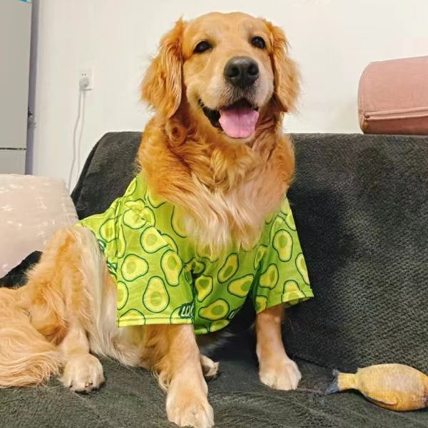 【quần áo chó】Áo Len Lưới Không Dính Cỡ Lớn Mặc Mùa Hè Đường Phố Cho Cún Cưng Labrador áo thú cưng