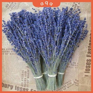 Bó hoa khô hoa lavender tặng kèm túi thơm.aqa