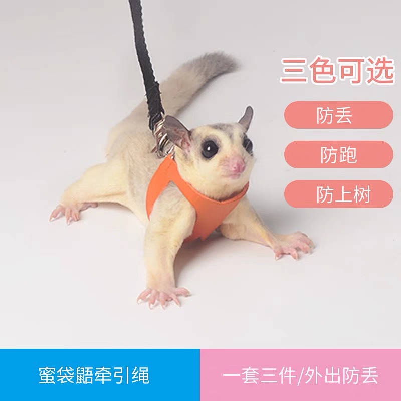 Mật Ong Glider Lực Kéo Dây Mật Ong Glider Quần Áo Mật Ong Glider Dây Đi Chơi Mật Ong Glider Tiếp Liệ