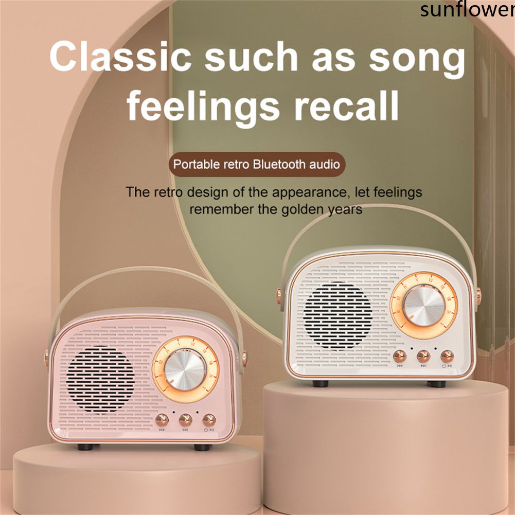 Loa Âm Thanh Nổi Bluetooth Cổ Điển Dw21 Loa Nhỏ Ngoài Trời Gia Đình Mini Không Dây Di Động-Sun. Vn
