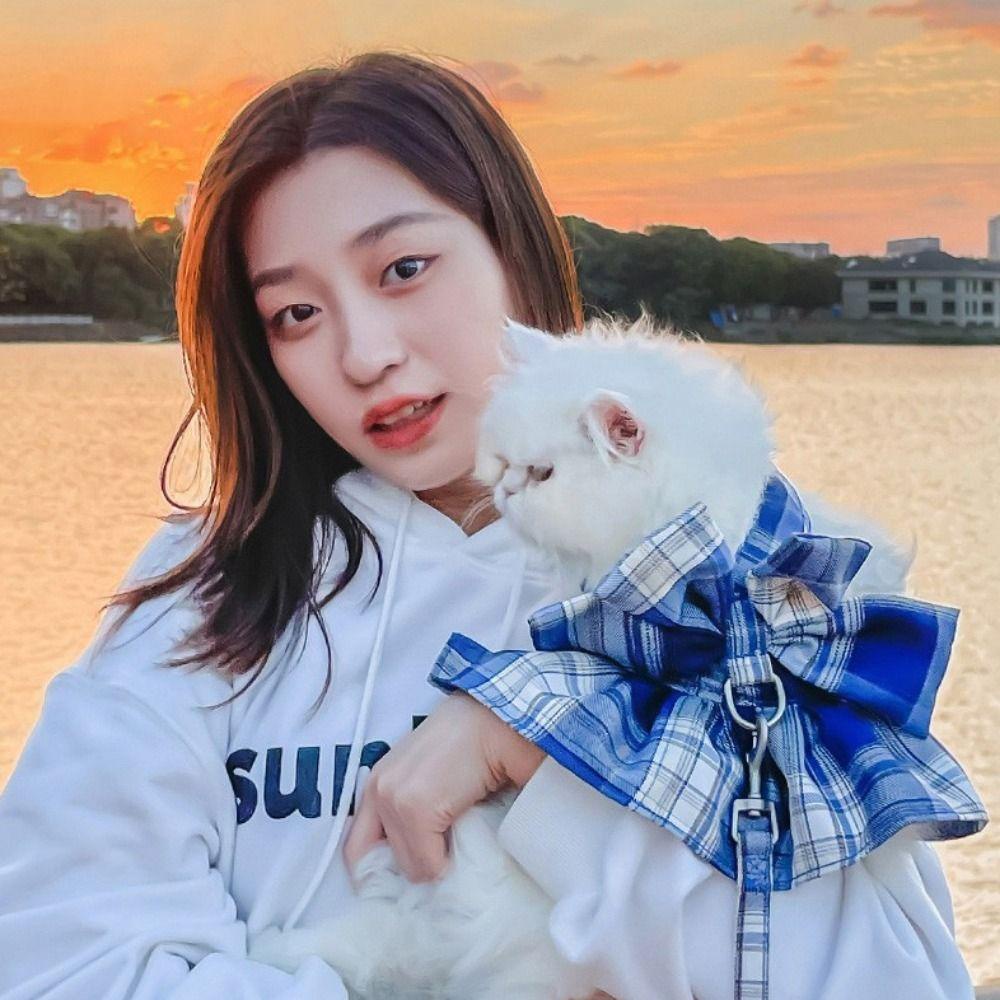 Đai Dắt Thú Cưng Đi Dạo Chống Lạc Thoáng Khí Có Nơ Hình Chữ I Aron1