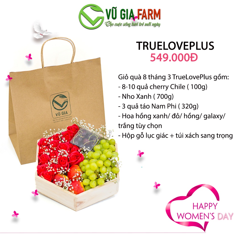 [GIỎ QUÀ TẶNG] TrueLovePlus Cherry Chile + Nho xanh + Táo Nam Phi + hoa sáp 5 màu tự chọn