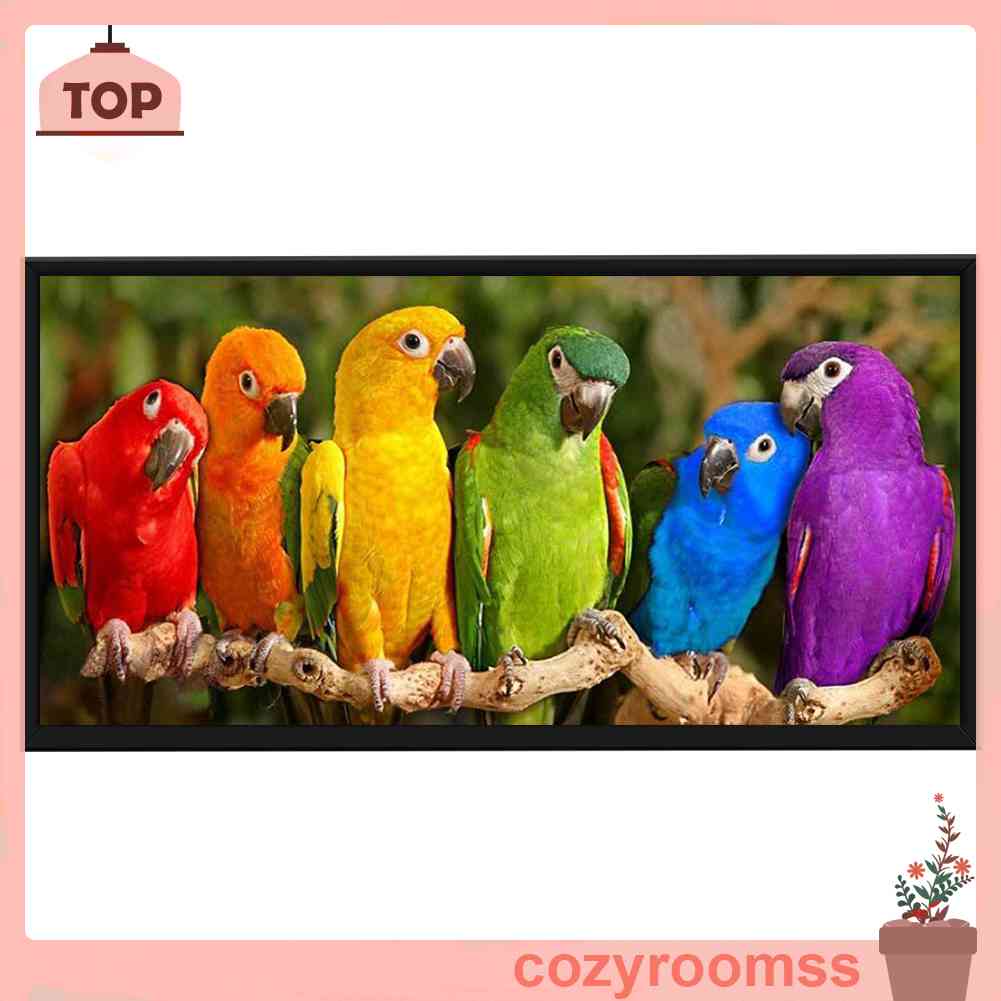Toàn Bộ Bộ Tranh Thêu Chữ Thập 11CT DIY Hình Vẹt Nhiều Màu Sắc