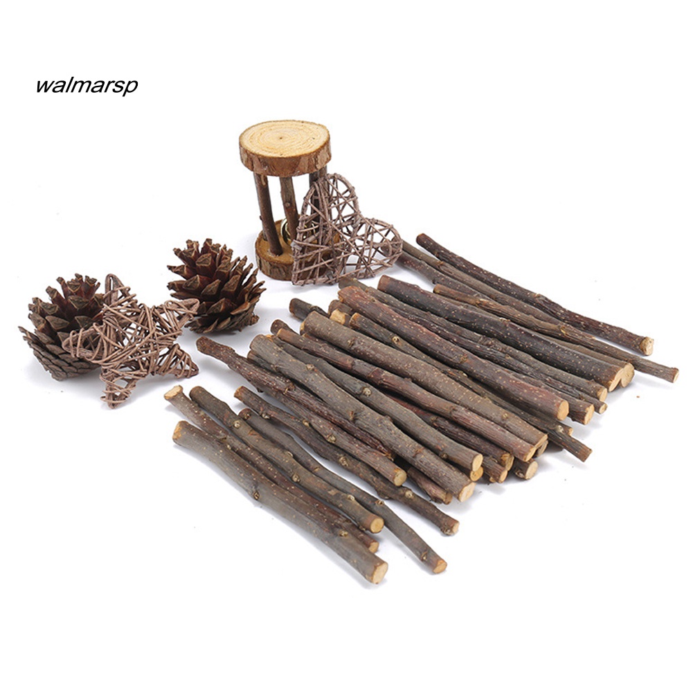 Set 20 / 40 / 60 Que Gỗ Táo Thân Thiện Với Môi Trường Chống Cắn Cho Chuột Hamster / Thỏ / Cây Cối