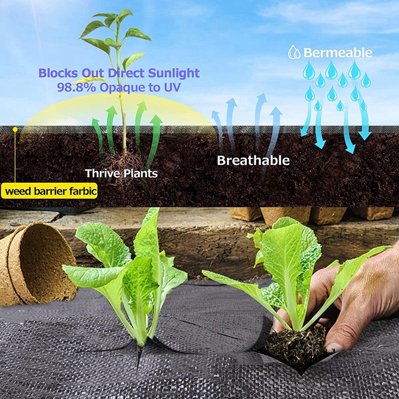 Tấm Thảm Vải Lót Chặn Cỏ Hạng Nặng Cao Cấp Cho Sân Vườn