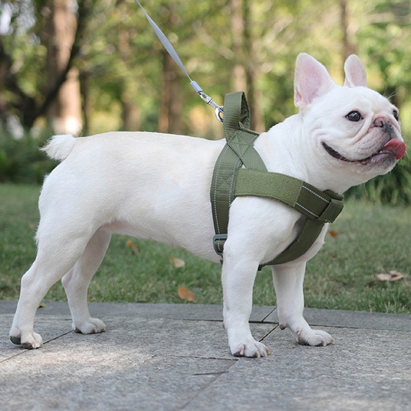 Dây Dắt Chó Phản Quang Không Kéo Có Tay Cầm Tiện Dụng