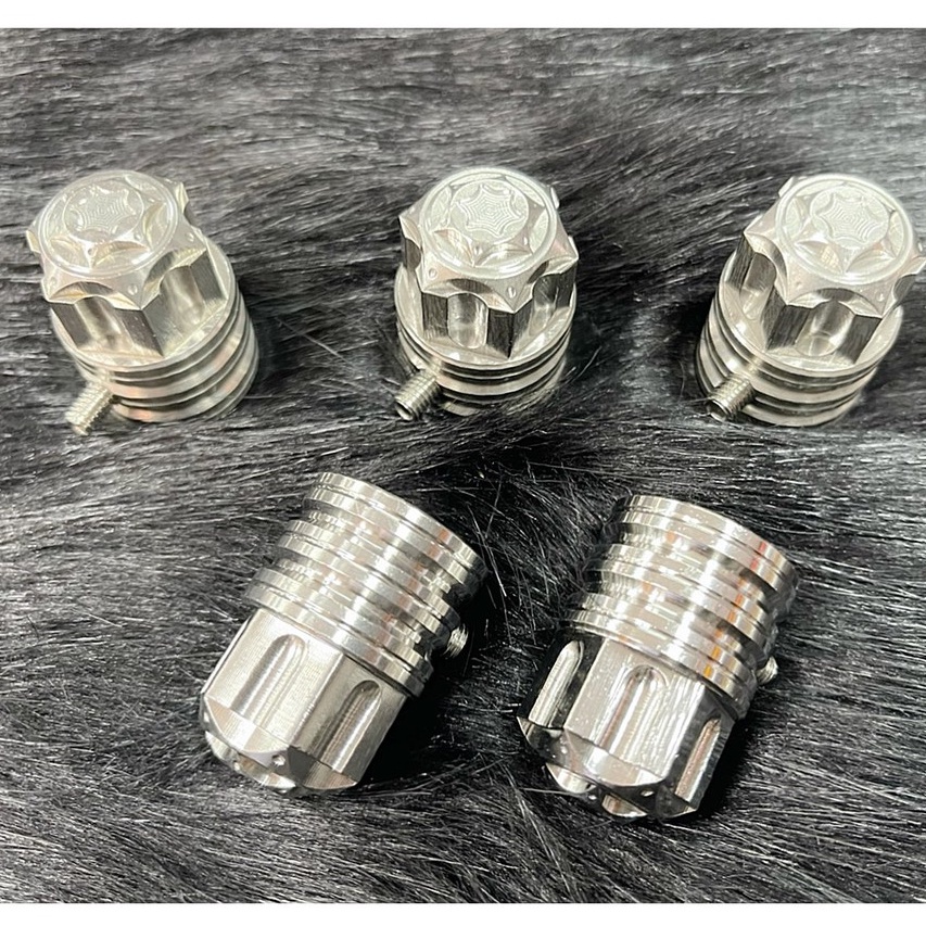 Chụp Giò Đạp Salaya Inox 304 Gắn Cho Mọi Loại Xe