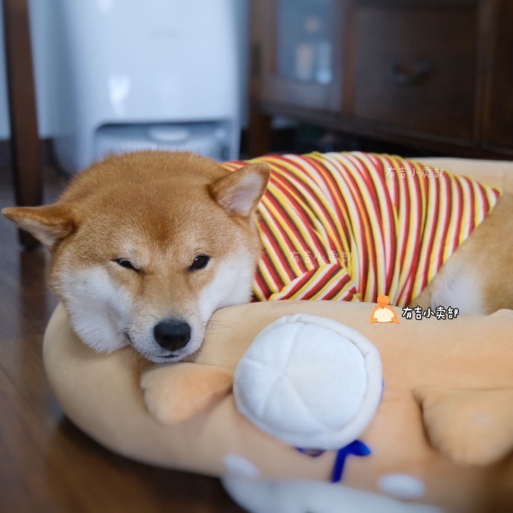 Áo Thun Tay Ngắn Họa Tiết Sọc Ngang Mùa Thu Kích Thước Vừa Và Nhỏ Cho Thú Cưng Chó Mèo Phong Cách Mới