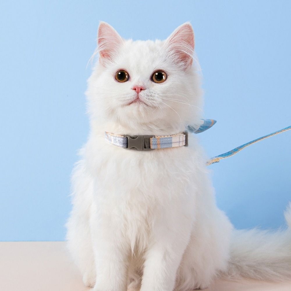 Dây Dắt Thú Cưng Đi Dạo Chống Lạc AUGUSTINA 2023