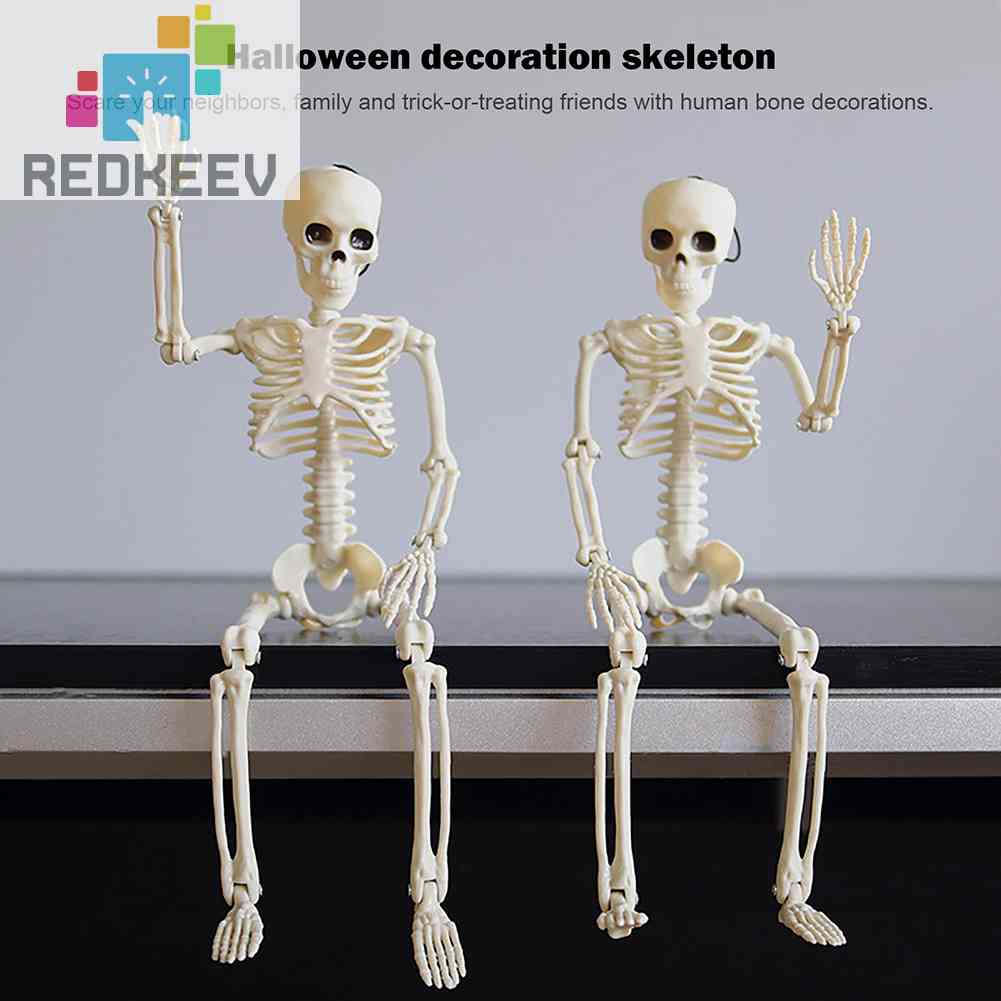 Bộ Xương Người Giả Trang Trí Halloween