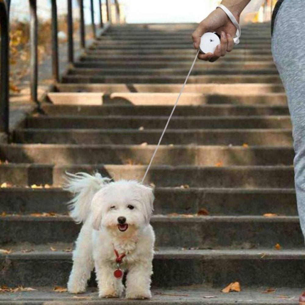 1 Dây Dắt Thú Cưng Đi Dạo Tự Động Bằng Nhựa Nylon AARON1