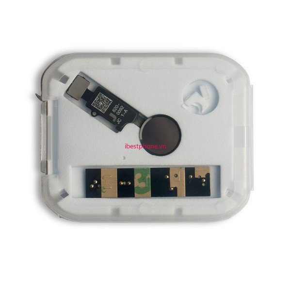 Cáp Flex Nút Home Ivn- JC Cho iPhone 7 7 + 8 8 +