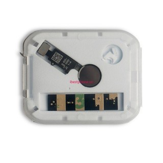 Cáp flex nút home ivn- jc cho iphone 7 7 + 8 8 +