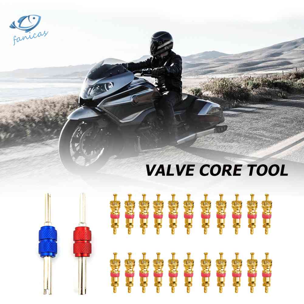 20 Lõi Van Bằng Đồng + 20 Lõi Van Xe Kèm 2 Dụng Cụ Van Xe Dành Cho Xe Hơi / Xe Đạp / Xe Máy