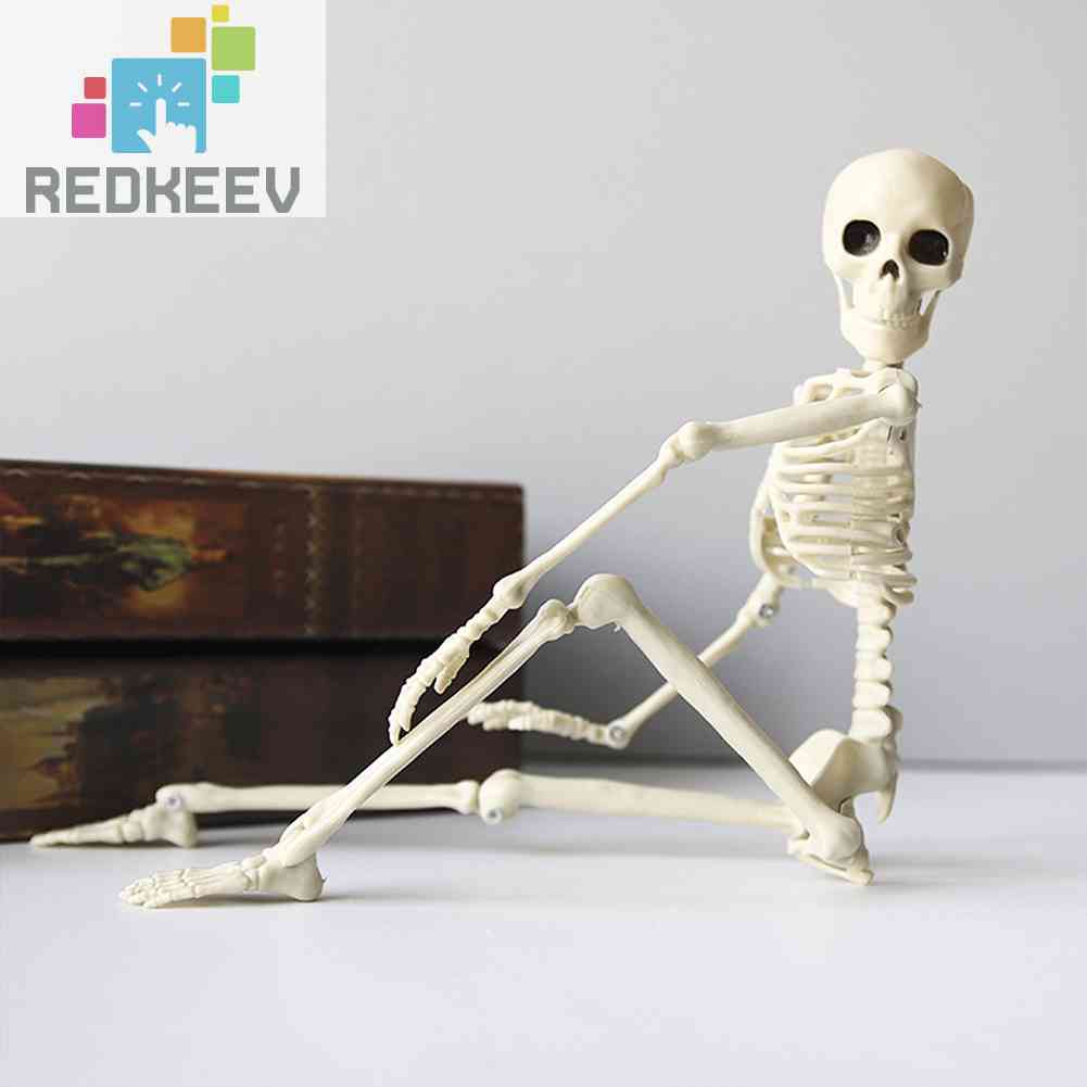 Bộ Xương Người Giả Trang Trí Halloween