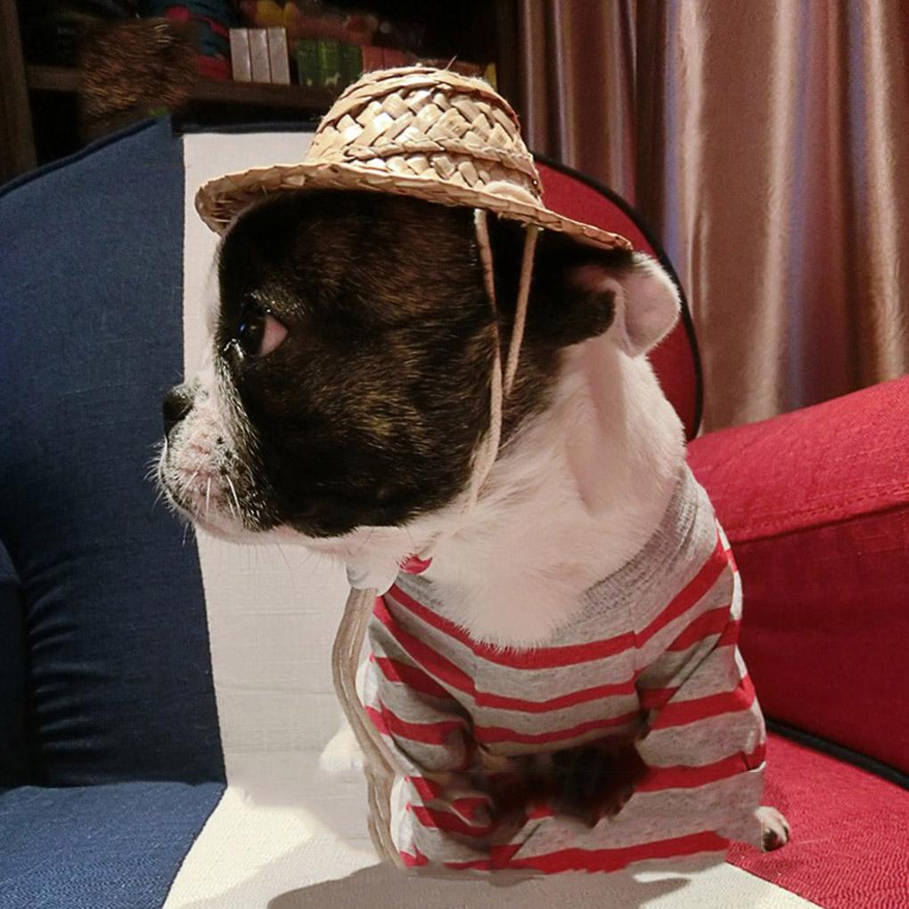 Mũ Rơm Chống Nắng Dễ Thương Cho Thú Cưng