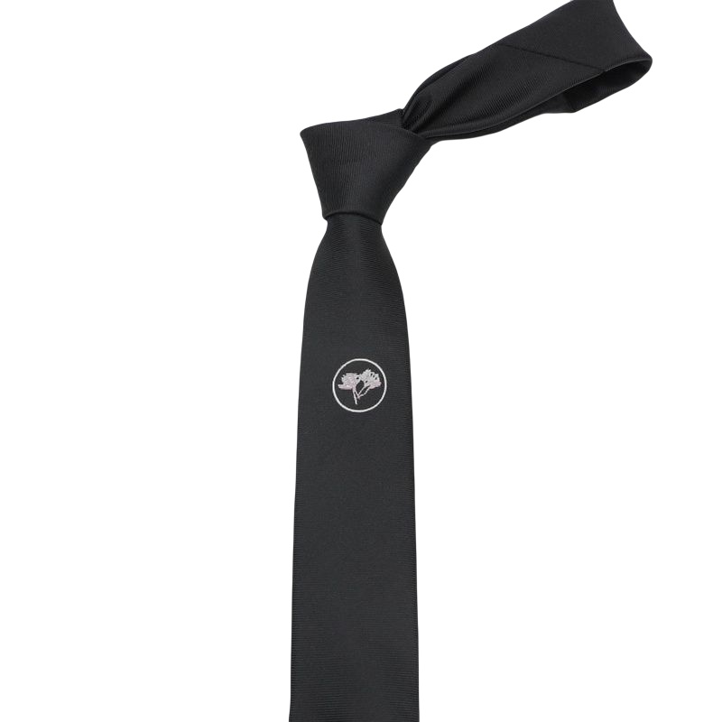 Cà Vạt Lụa 5cm Thời Trang Cho Nam