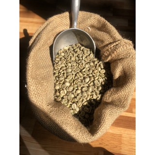 0.5kg Cà phê nhân xanh Arabica Cầu Đất (Nhặt tay, 100% trái chín) ( chuyên cây giống )