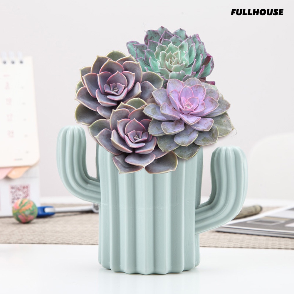 ☀Chậu Hoa Khô Hình Cây Xương Rồng Bằng Nhựa Kèm Giá Đỡ Dành Cho Trang Trí Nhà