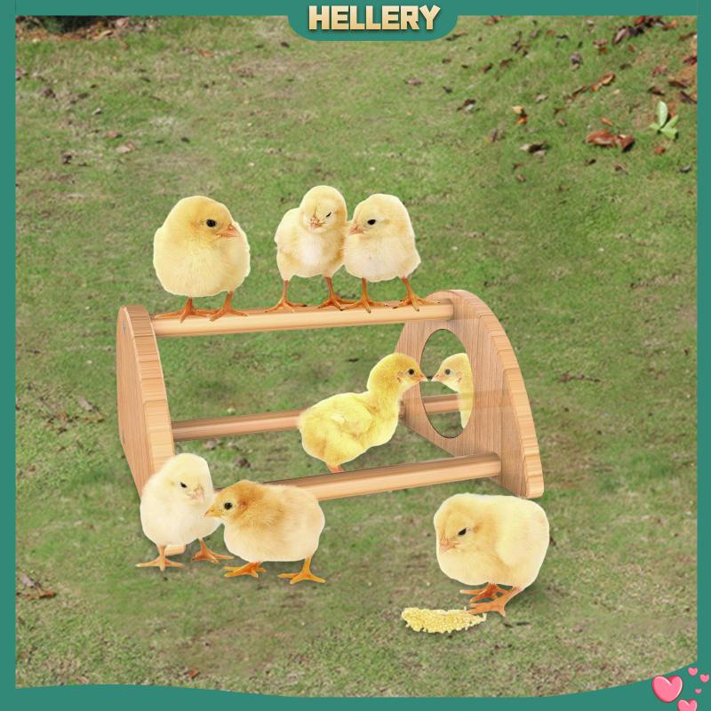 Giá Đỡ Gà Bằng Gỗ Dùng Huấn Luyện Chim Cảnh Tiện Dụng