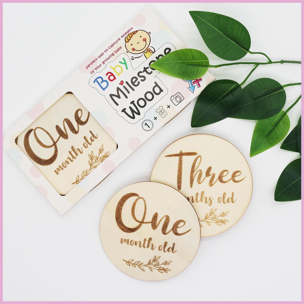 Set 6 Đĩa Đánh Dấu Cột Mốc Tháng Dùng Làm Đạo Cụ Chụp Ảnh Em Bé