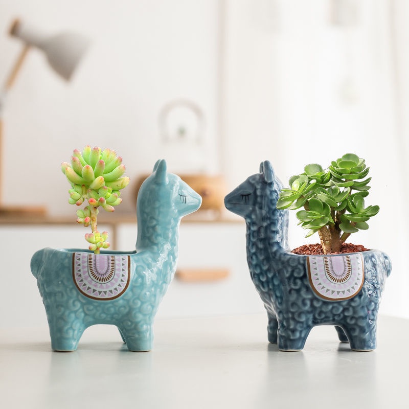 Bộ Chậu Hoa Sứ Hình Lạc Đà Hoạt Hình Sáng Tạo Dễ Thương