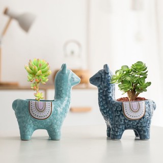 Bộ chậu hoa sứ hình lạc đà hoạt hình sáng tạo dễ thương
