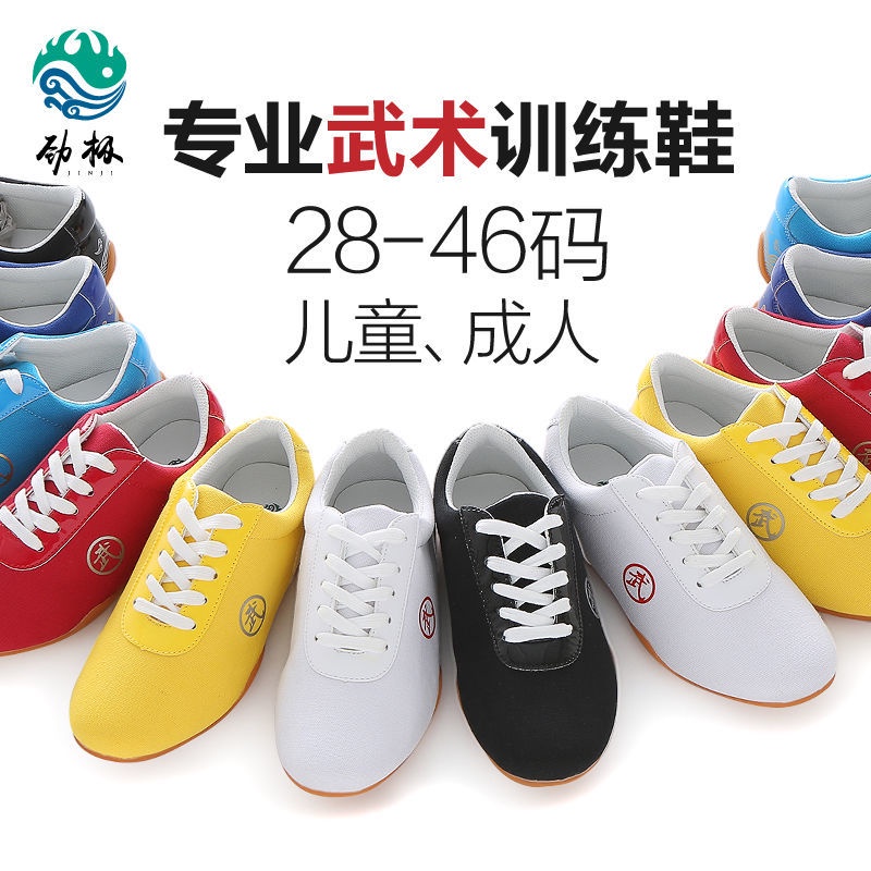 Giày Thể Thao Tập Luyện Thái Cực Quyền Bằng Vải Canvas Dành Cho Nam Và Nữ