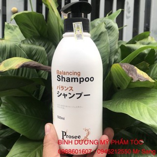 🌾Best Seller🎋 Dầu gội dành cho tóc gàu chống dầu, chống rụng tóc Prosee Balancing Shampoo AS13 500ml   (2026)