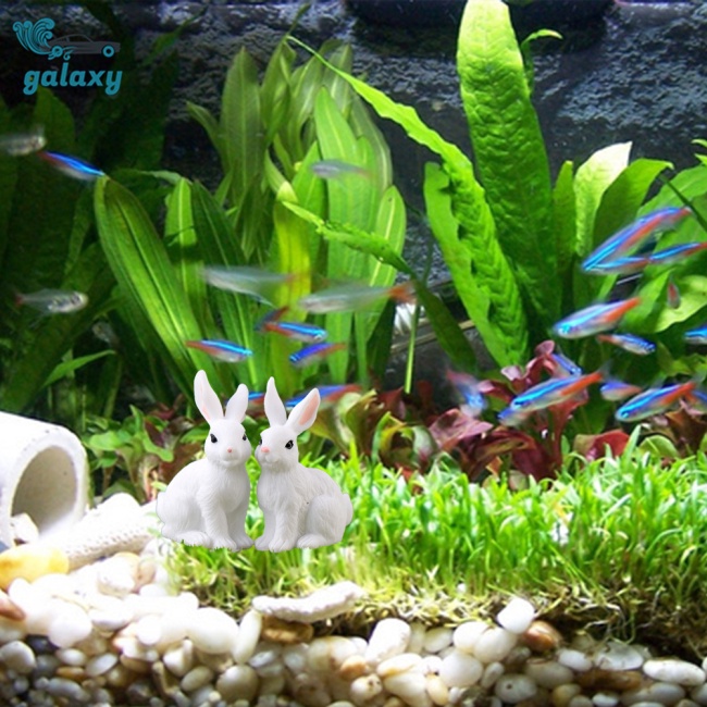 Galaxy Đồ trang trí Thỏ Mini Bằng Nhựa Resin Dễ Thương Trang Trí Tiểu Cảnh