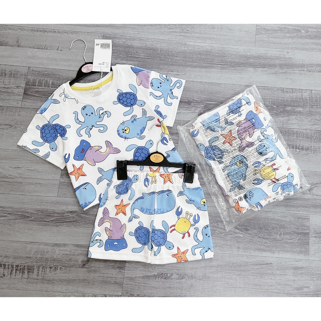 ✨BÁN SỈ✨Bộ thuỷ cung trắng xanh chất tăm trẻ em VNxK