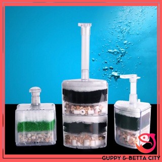 Lọc vi sinh góc xy 2010 2 tầng
