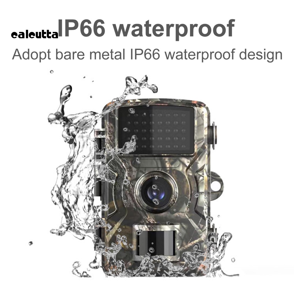 Camera Hồng Ngoại Wildlife Chống Nước IP66 Có Thể Thay Đổi Tầm Nhìn Ban Đêm HD