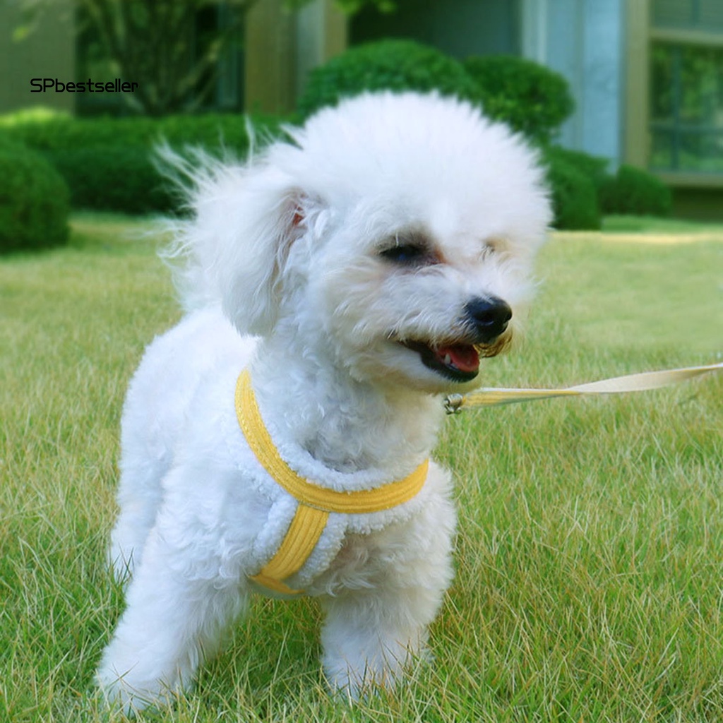 1 Bộ Dây Dắt Thú Cưng Đi Dạo Hình Chữ I Bằng Nylon Chống Thoát Hiểm