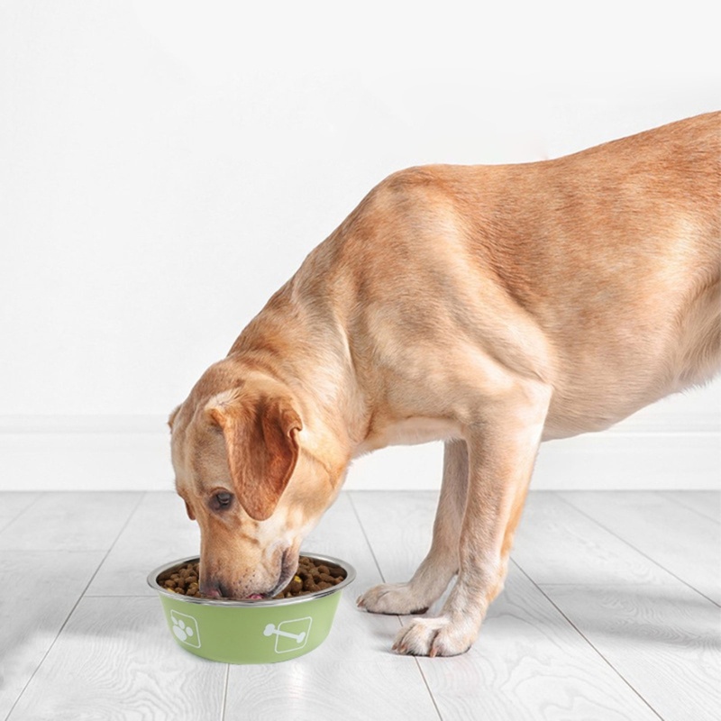Bát Đựng Thức Ăn Bằng Thép Không Gỉ Chống Trượt Cho Thú Cưng