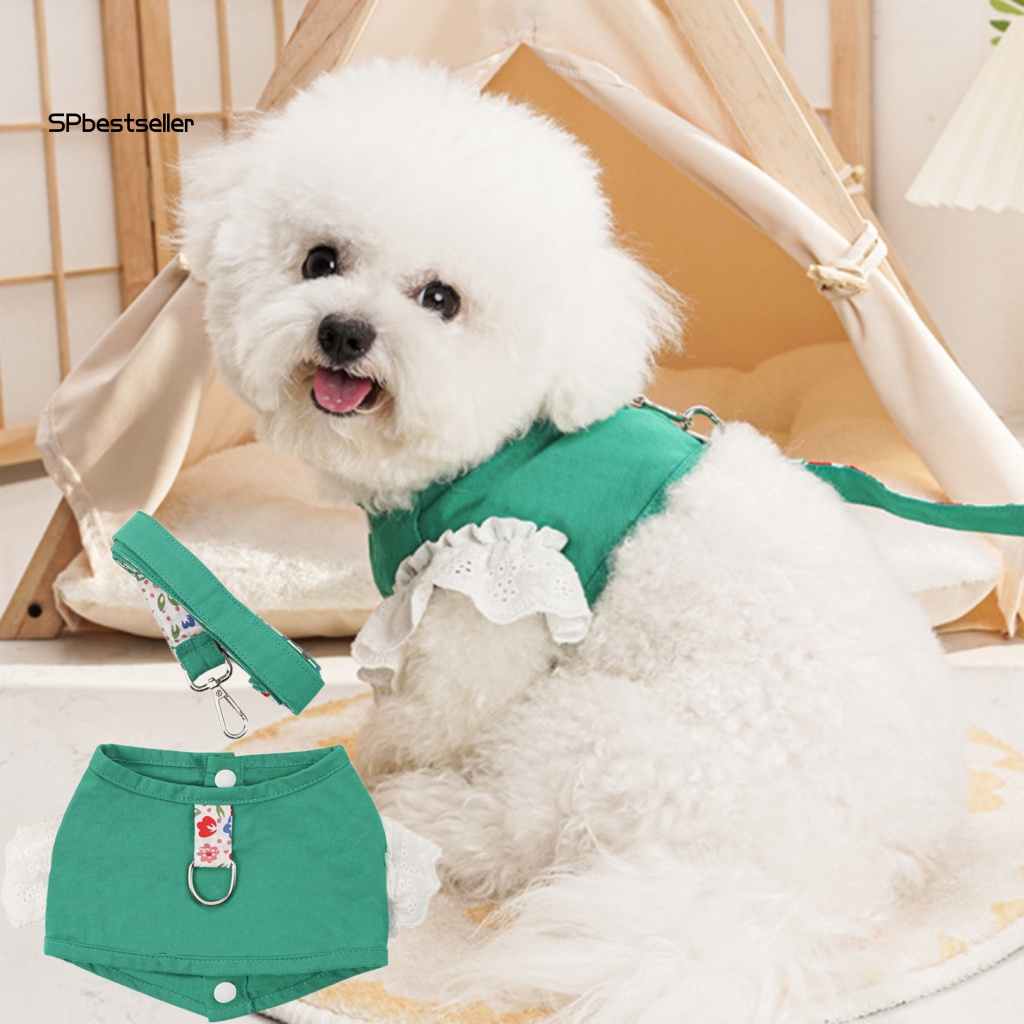 Dây Dắt Thú Cưng Đi Dạo Cỡ Nhỏ / Vừa / Nhỏ Dễ Điều Chỉnh