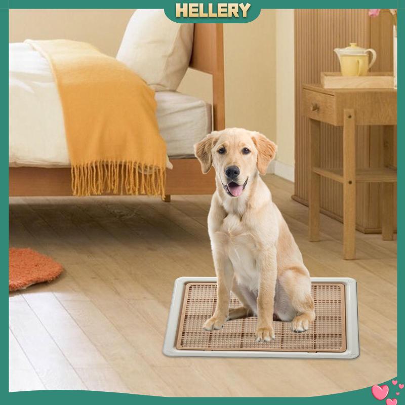 Khay Huấn Luyện Thú Cưng Đi Vệ Sinh Tiện Dụng