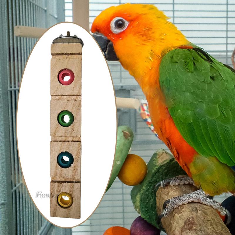 [Fenteer1] Giá Đỡ Đứng Cho Chim Vẹt Cỡ Nhỏ Và Vừa
