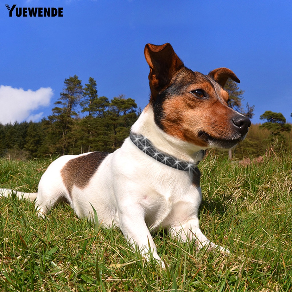 Yq.e Vòng Cổ Nhỏ Màu Sắc Tươi Sáng Độ Ổn Định Cao Trang Trí Vòng Cổ Cho Thú Cưng