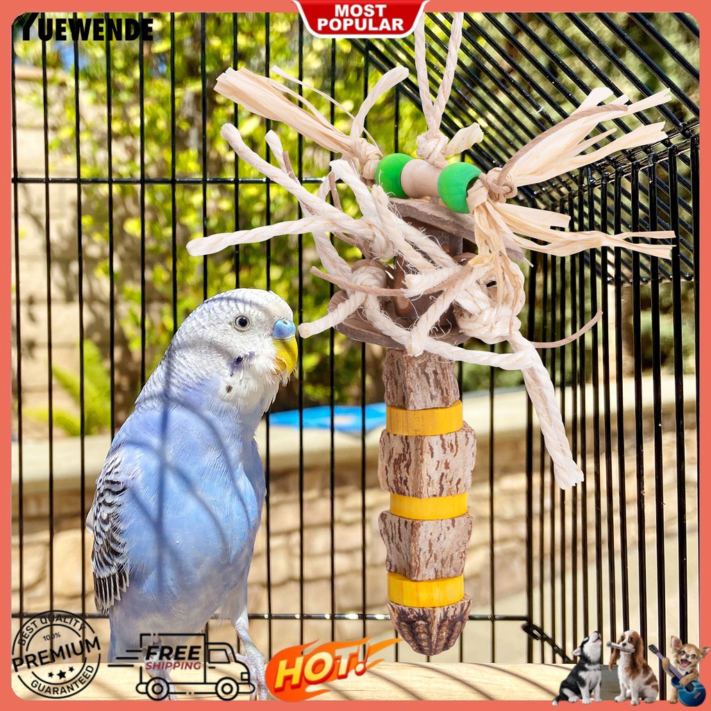 Đồ Chơi Vỏ Dừa Chống Cắn Dành Cho Chim Vẹt