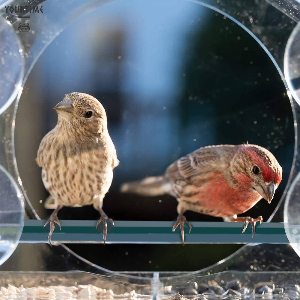 Khay Đựng Thức Ăn Cho Chim Có Thể Tháo Rời Tiện Dụng