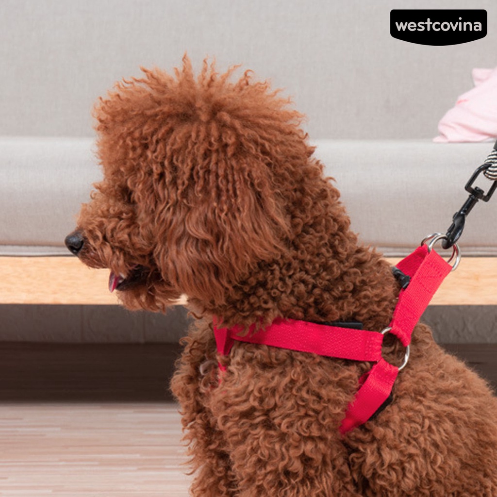 [COD]♞Dây Dắt Thú Cưng Đi Dạo Bằng Polyester Siêu Mềm Chống Mài Mòn Có Đèn LED Tiện Dụng Cho Cún Cưng